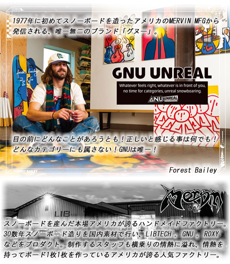 25-26 GNU/グヌー GREMLIN グレムリン メンズ レディース スノーボード