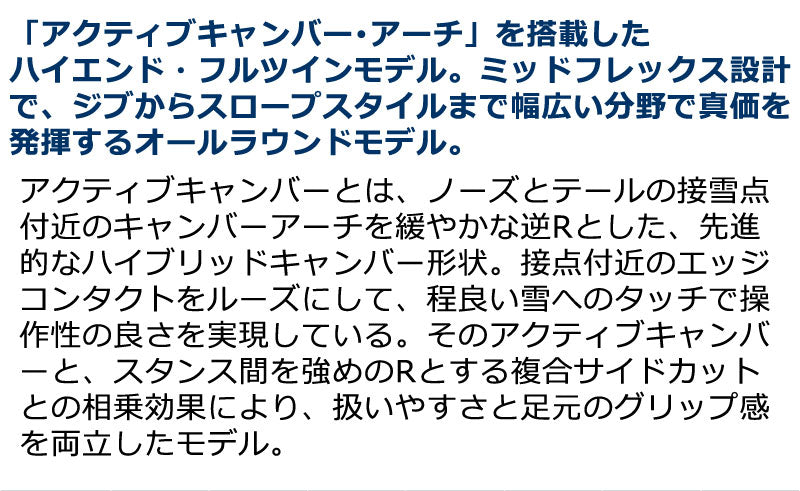 25-26 GRAY/グレイ EPIC エピック メンズ レディース スノーボード