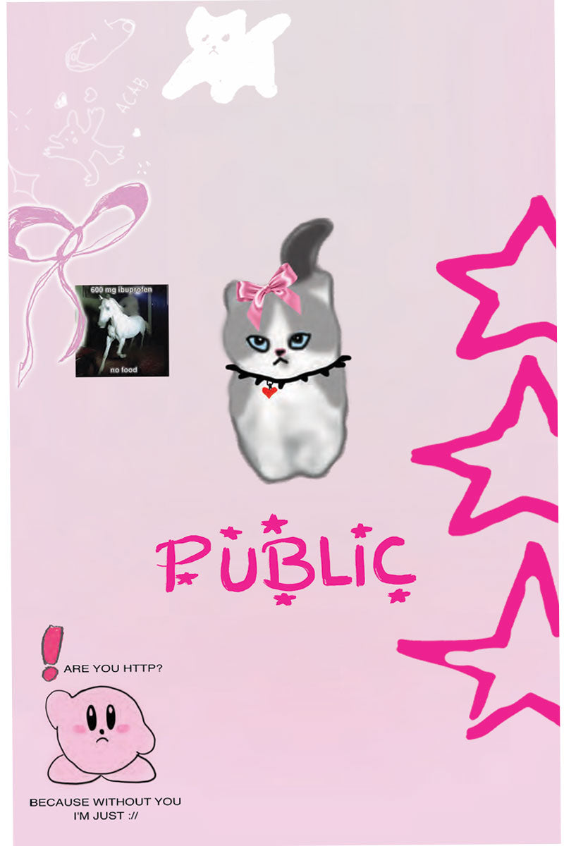 25-26 PUBLIC/パブリック JIBGURL ジブガール レディース スノーボード ジブ ワンメイク 板 2026