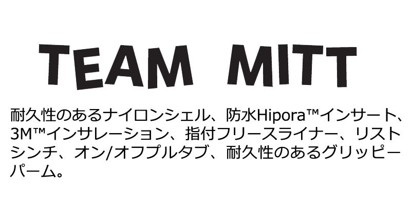 25-26 SALMON ARMS/サーモンアームズ TEAM MITT チームミット ミトン グローブ 手袋 メンズ レディース スノーボード スキー 2026