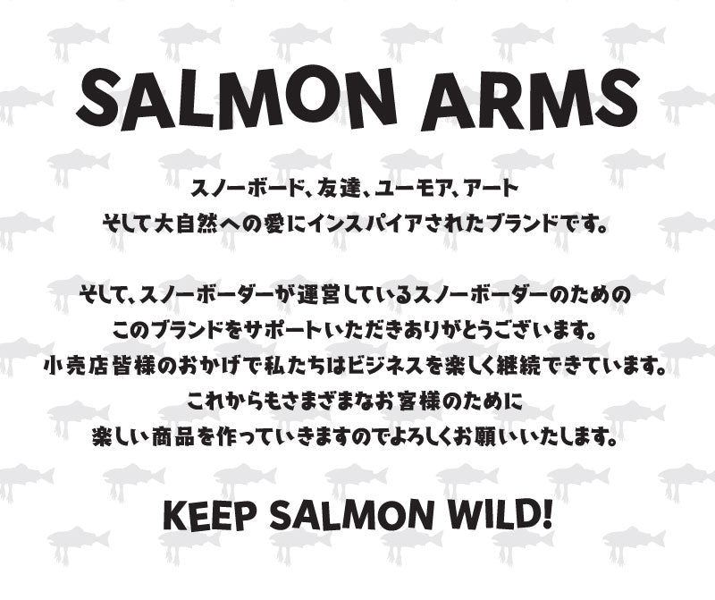 25-26 SALMON ARMS/サーモンアームズ LINER GLOVE ライナーグローブ インナー 手袋 メンズ レディース スノーボード スキー 2026 メール便対応