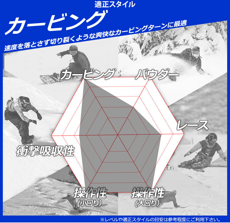 25-26 GRAY/グレイ FORCE フォース アルペン メンズ レディース 国産